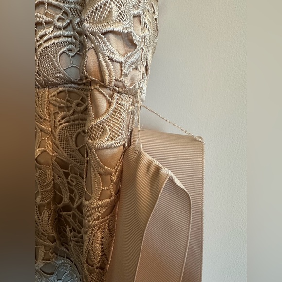 Stunning Lace Gown - Picture 9 of 10